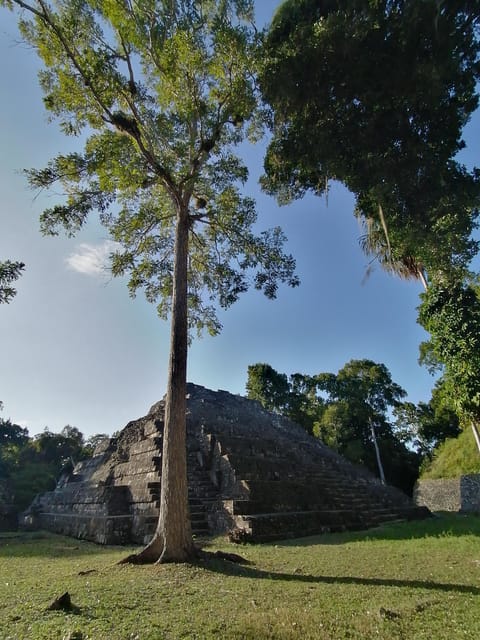 From Flores: Tikal + Yaxha Sunset Tour Private - Yaxha Site Highlights