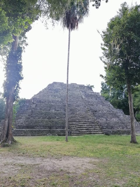 From Flores: Tikal + Yaxha Sunset Tour Private - Frequently Asked Questions