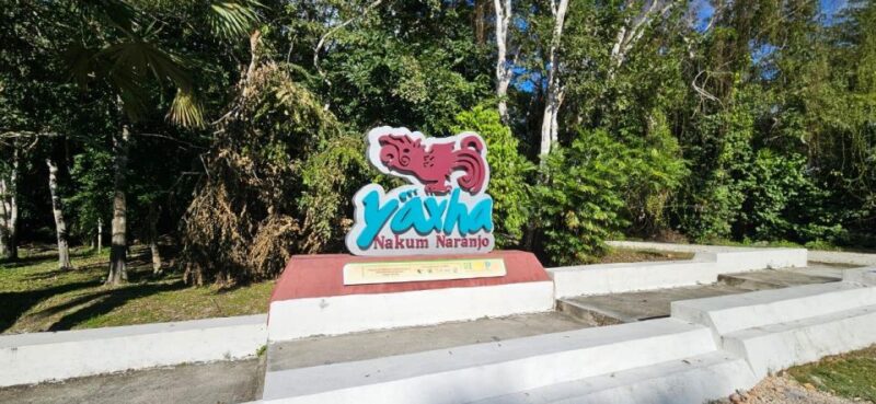 From Flores: Yaxha + Topoxte All-Inclusive Private - Historical Significance of the Sites