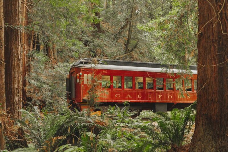From Fort Bragg: Redwoods Train Ride and Nightclub Ticket - Train Ride Details