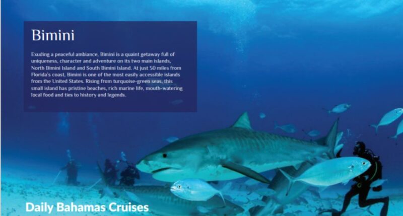From Fort Lauderdale: Bimini Island Day Trip by Ferry - Duration and Price
