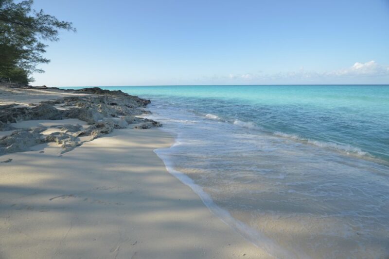 From Fort Lauderdale: Day Trip to Bimini - Dining and Local Cuisine