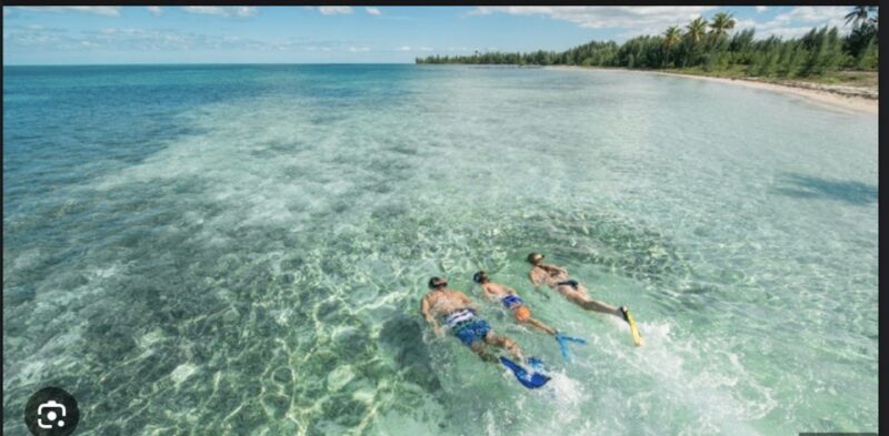 From Fort Lauderdale: Freeport Bahamas Day Cruise - Activities and Experiences