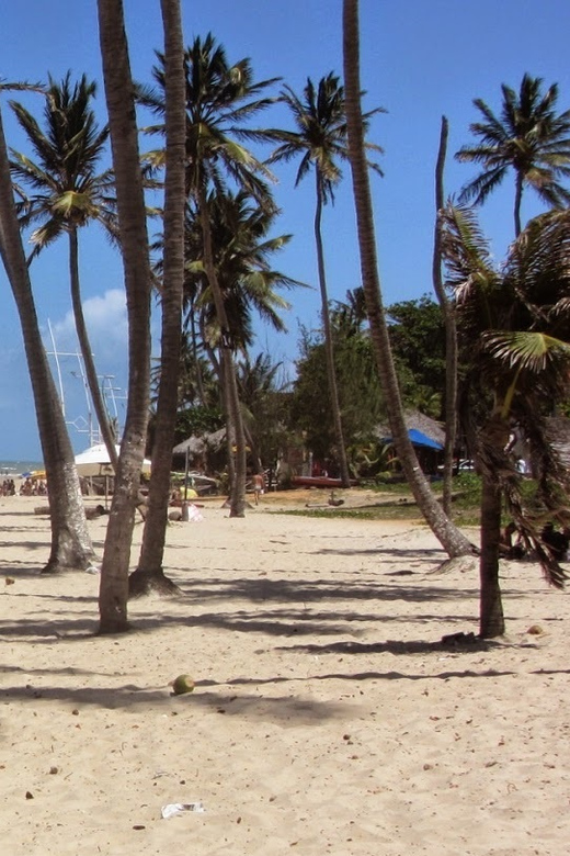 From Fortaleza Airport: 1-Way Transfer to Cumbuco - Route Overview