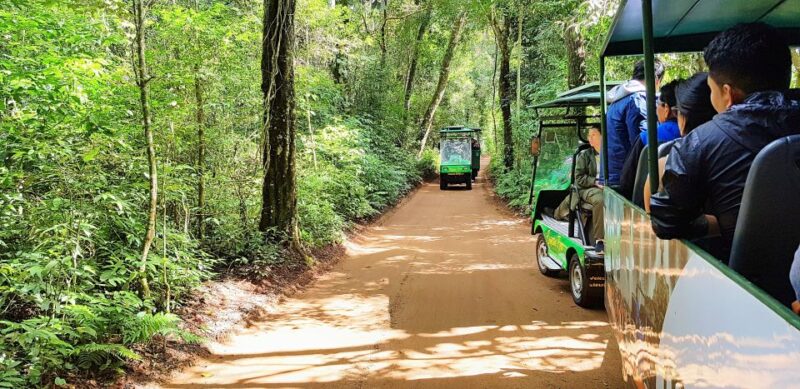 From Foz Do Iguaçu: Brazil Iguazu Falls & Macuco Safari Boat - Observation Deck at Devils Throat