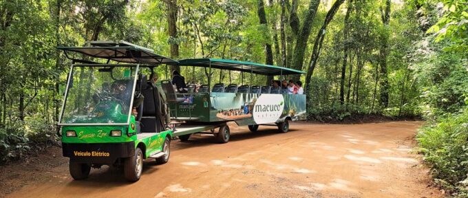 From Foz Do Iguaçu: Brazil Iguazu Falls & Macuco Safari Boat - Electric Car Ride Through Forest