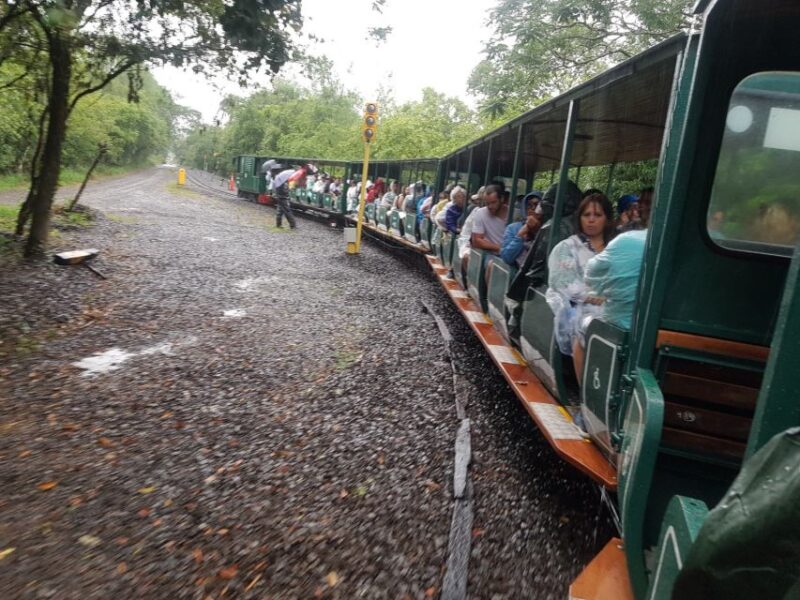 From Foz Do Iguaçu: Iguazu Falls Boat Ride Argentina - Itinerary and Activities