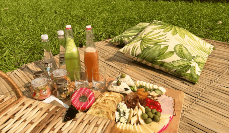 From Foz Do Iguaçu: Picnic at Iguazu Falls - Key Points