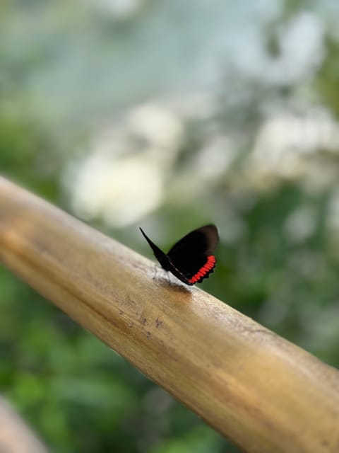 From Foz Do Iguaçu: Private Tour on Argentine Falls - Booking Details