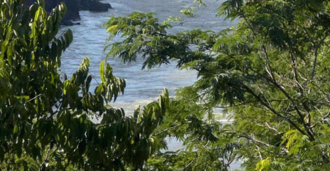 From Foz Do Iguaçu: Private Tour on Argentine Falls - Frequently Asked Questions