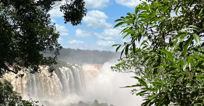 From Foz Do Iguaçu: Private Tour on Iguaçu Falls - Highlights of the Tour