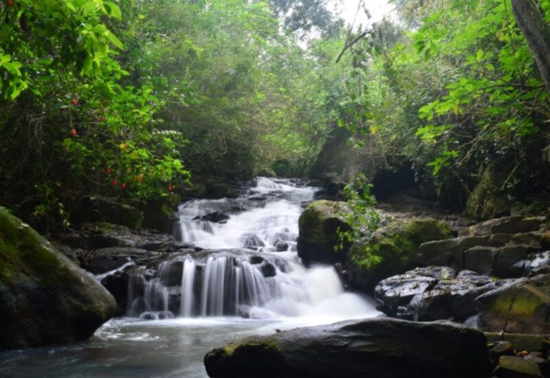 From Foz Do Iguaçu: Secret Falls Adventure - Hiking Through the Rainforest