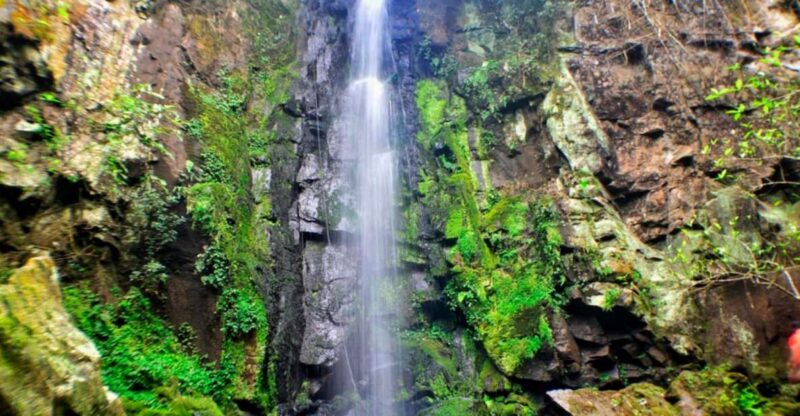 From Foz Do Iguaçu: Secret Falls Adventure - Swimming in Natural Pools