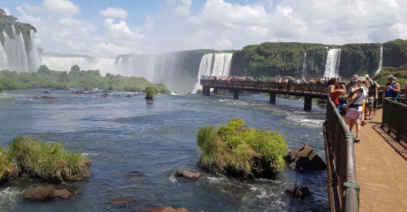 From Foz Do Iguaçu: Visit to Brazilian Falls and Bird Park - Exploring Iguazu National Park