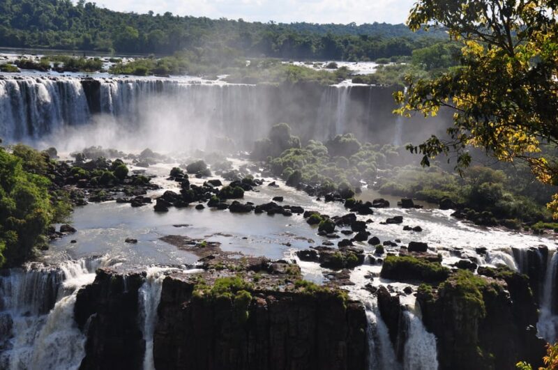 From Foz Do Iguaçu: Visit to Brazilian Falls and Bird Park - Panoramic Views of the Falls