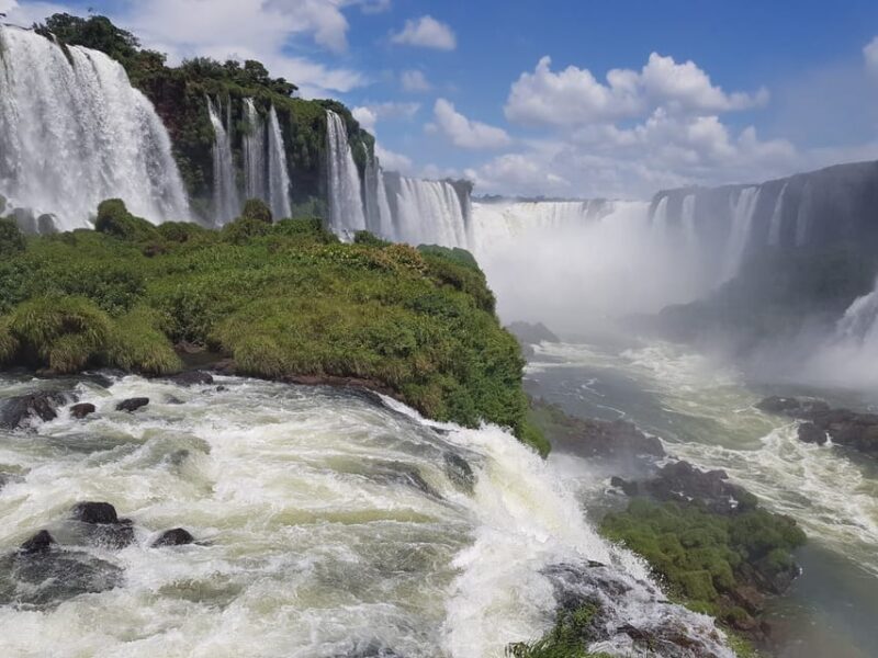 From Foz Do Iguaçu: Visit to Brazilian Falls and Bird Park - Discovering the Bird Park