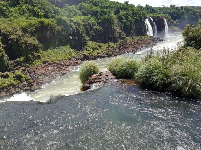 From Foz Do Iguaçu: Visit to Brazilian Falls and Bird Park - What to Expect and Prepare