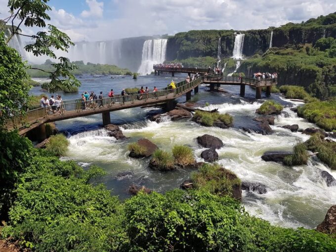 From Foz Do Iguaçu: Visit to Brazilian Falls and Bird Park - Discovering Bird Park