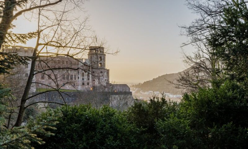 From Frankfurt: Heidelberg & Rothenburg Daytour - Customer Feedback