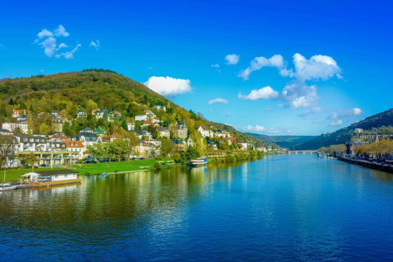 From Frankfurt: Rhine Valley Day Trip - Niederwald Monument and Assmannshausen