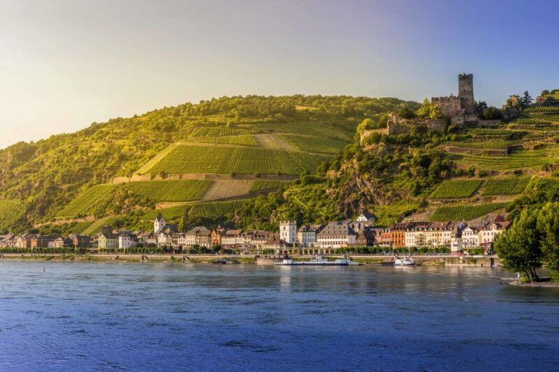 From Frankfurt: Rhine Valley Day Trip - Rhine Boat Cruise to Sankt Goarshausen