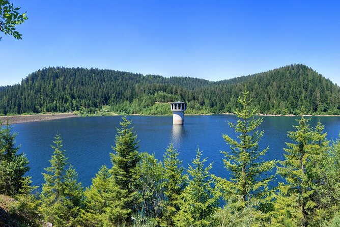 From Frankfurt - Romantic Black Forest & Brewery, Private Tour - Guide Expertise and Responsiveness