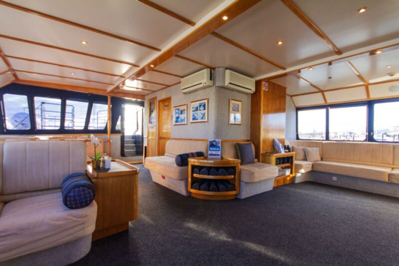 From Fremantle: 2-Hour Luxury Whale-Watching Cruise - Key Points
