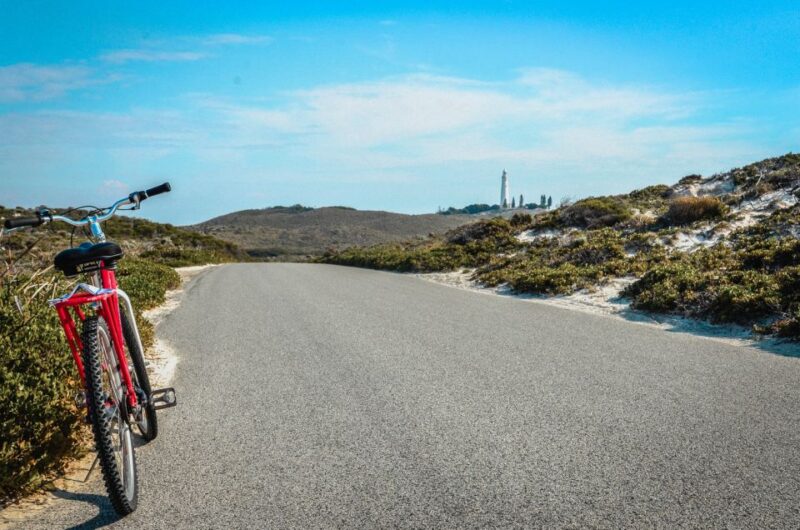From Fremantle: Rottnest Island Ferry & Admission Ticket - Ferry Experience