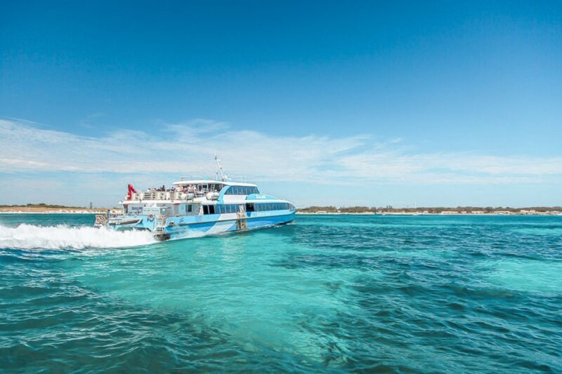 From Fremantle: Rottnest Island Ferry & Admission Ticket - Island Activities
