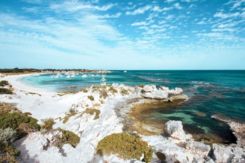 From Fremantle: Rottnest Island Ferry & Admission Ticket - Customer Reviews and Ratings