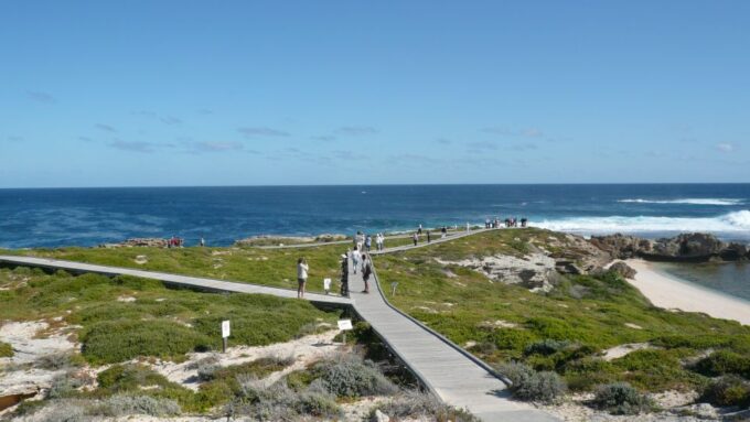 From Fremantle: Rottnest Island Ferry & Bus Day Tour - Getting to the Meeting Point