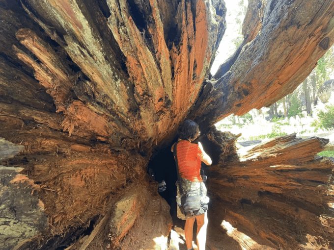 From Fresno: Sequoia National Park Tour W/ Transfer & Lunch - Moro Rock and Topokah Falls