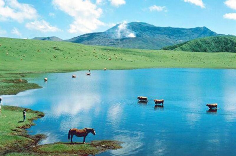 From Fukuoka: Day Trip to Kumamoto Castle, Mt.Aso & Kurokawa - Aso Thousand-mile Grassland