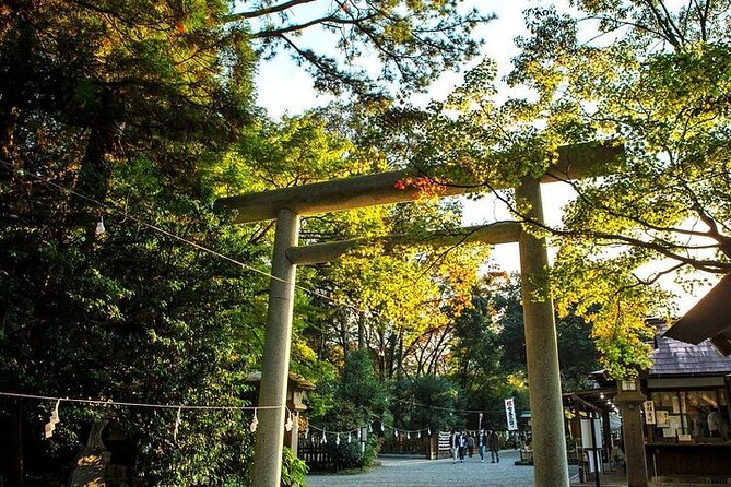 From Fukuoka: Day Trip to Miyazaki Takachiho Gorge & Shrine - Highlights of Takachiho Gorge