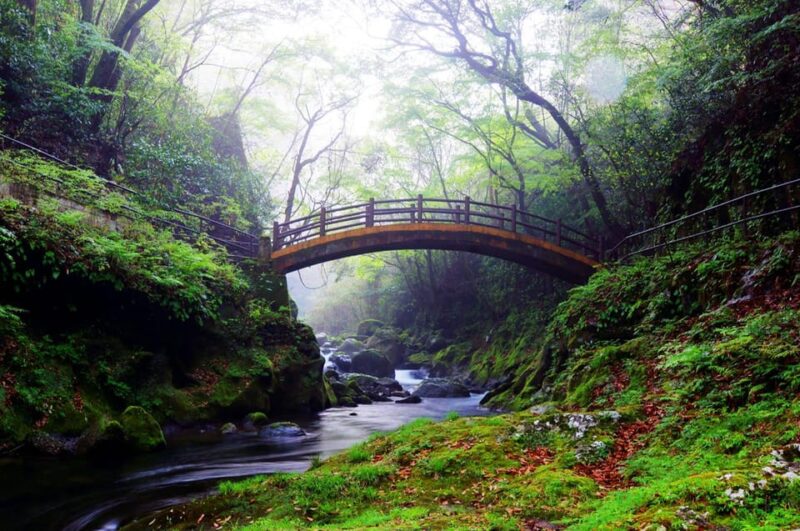 From Fukuoka: Day Trip to Miyazaki Takachiho Gorge & Shrine - Key Points