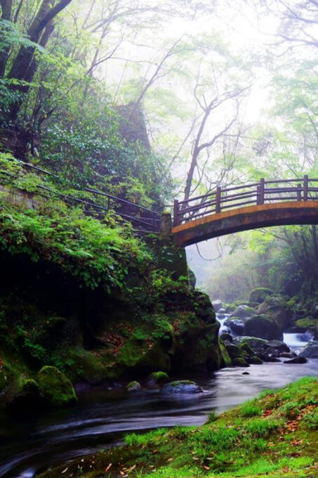 From Fukuoka: Day Trip to Miyazaki Takachiho Gorge & Shrine - Pricing