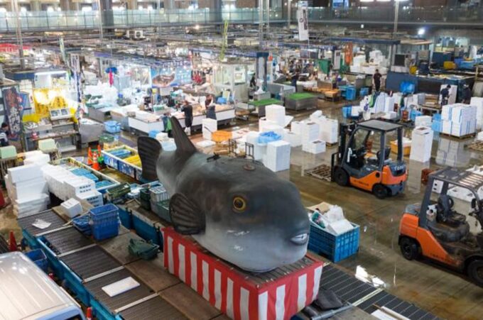From Fukuoka: Day Trip to Moji Port, Subsea Tunnel & Shrine - Karato Market: Savoring Seafood Delights