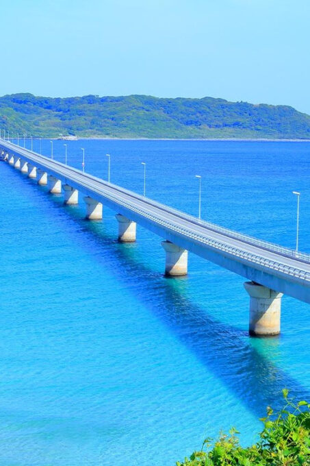 From Fukuoka: Day Trip to Moji Port, Subsea Tunnel & Shrine - Professional Guide Expertise