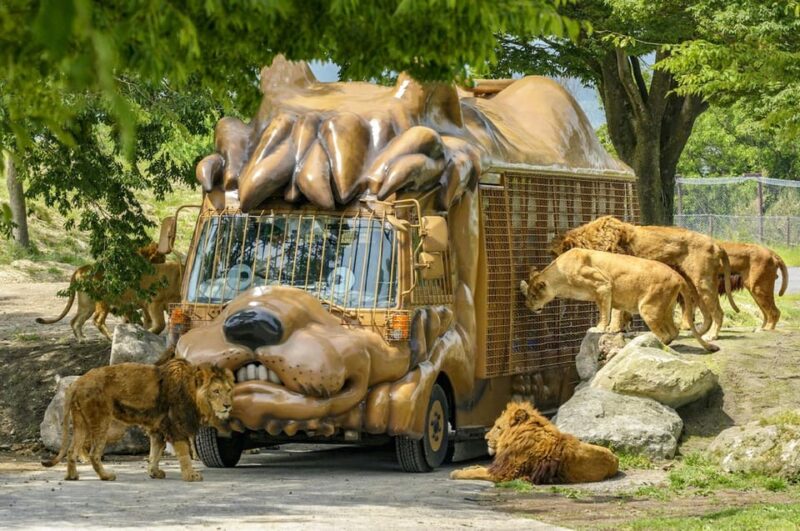 From Fukuoka: Day Trip to Yufuin, Beppu Hell Hot Springs - Visit to Kyushu Wildlife Park