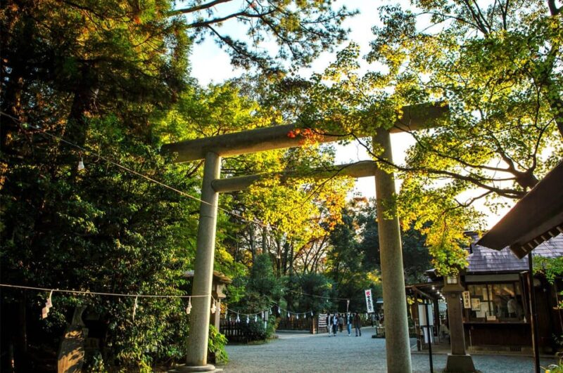 From Fukuoka: Miyazaki, Kumamoto, and Takachiho Gorge Tour - Kumamoto Stops