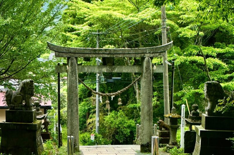 From Fukuoka: Miyazaki, Kumamoto, and Takachiho Gorge Tour - Takachiho Gorge