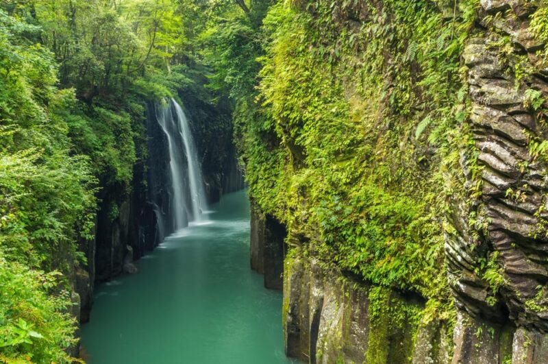 From Fukuoka: Miyazaki, Kumamoto, and Takachiho Gorge Tour - Inclusions and Exclusions