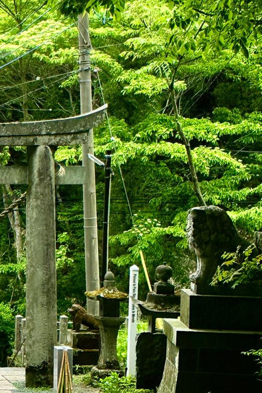 From Fukuoka: Miyazaki, Kumamoto, and Takachiho Gorge Tour - Important Information