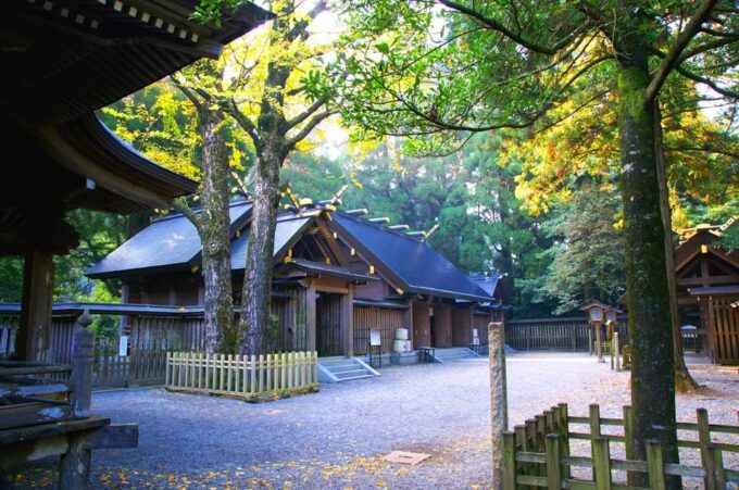 From Fukuoka: Miyazaki, Kumamoto, and Takachiho Gorge Tour - Kamishikimi Kumanoza Shrine