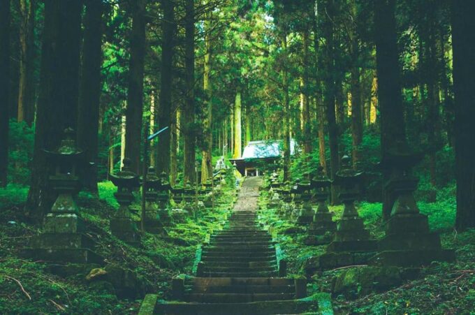 From Fukuoka: Miyazaki, Kumamoto, and Takachiho Gorge Tour - Frequently Asked Questions
