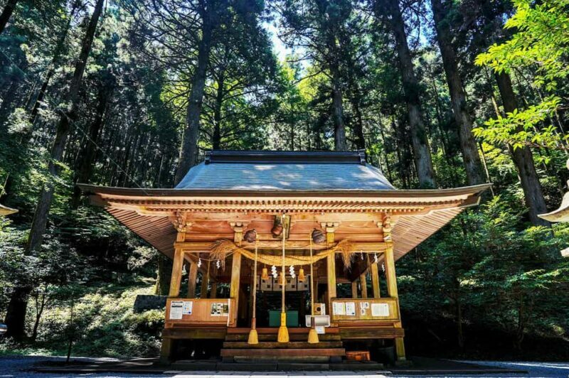 From Fukuoka: Miyazaki, Takachiho Gorge and Shrines Day tour - A Practical Guide to the Kyushu Day Trip from Fukuoka