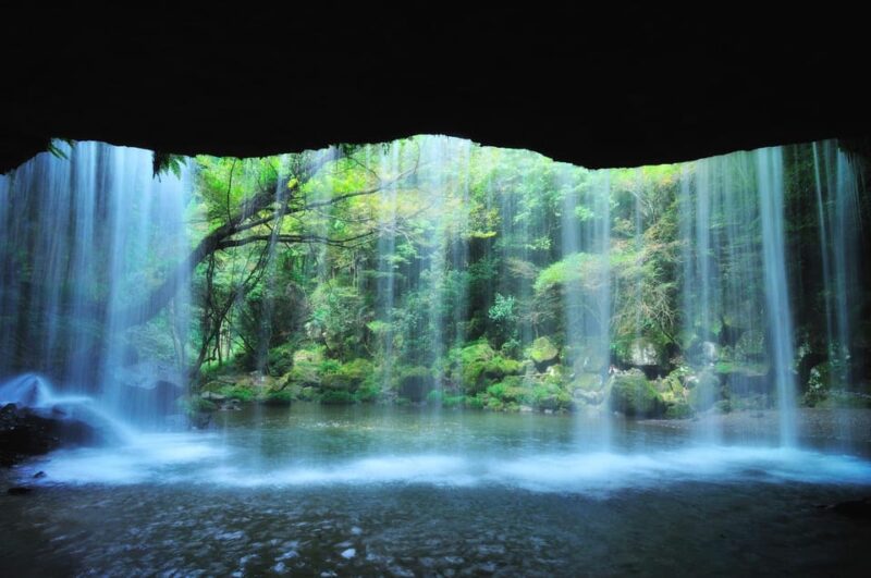 From Fukuoka: Private Customized Nature Tour of Kumamoto - Highlights of the Tour