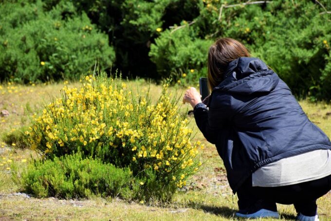 From Funchal: 2-Day Guided Tour of Madeira - Customer Reviews and Ratings