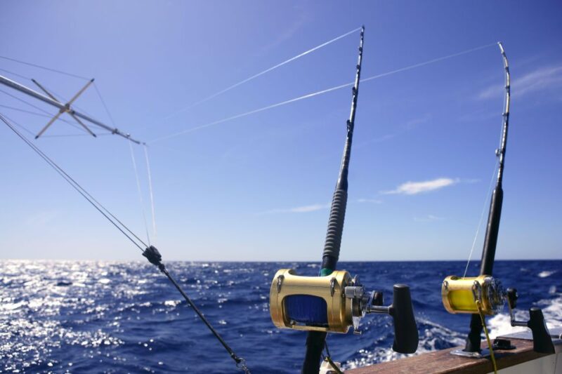 From Funchal : Big Game Fishing Boat Trip - Customer Feedback and Ratings