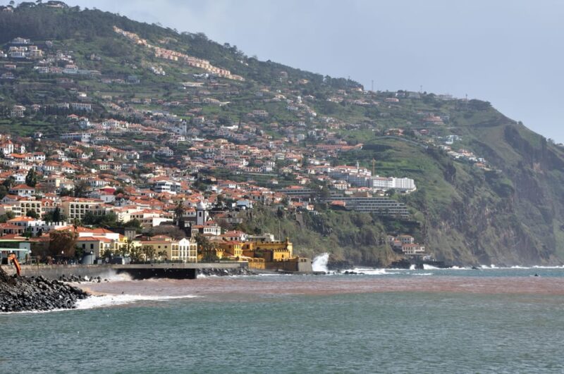 From Funchal: Cristo Rei Guided TukTuk Tour - Itinerary and Highlights